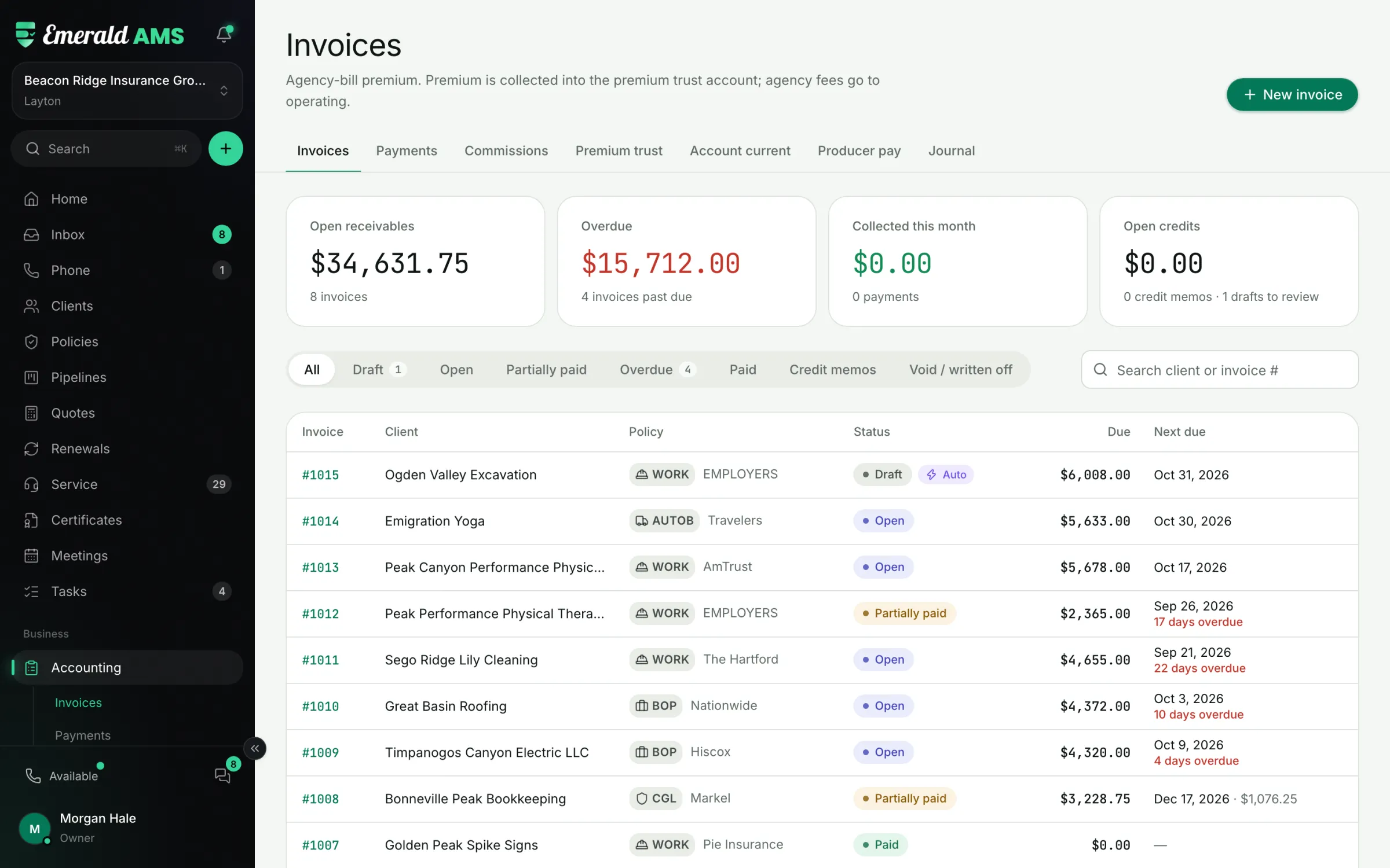 Agency-bill invoices with open receivables, overdue balances and next due dates